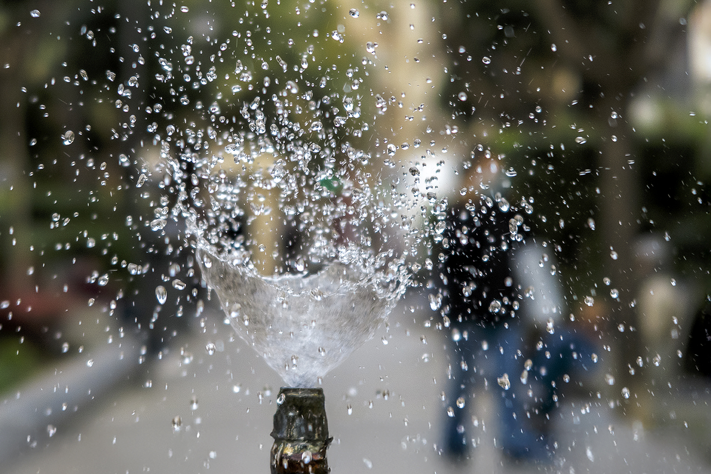 2025. SEPTIEMBRE. TEMA: 